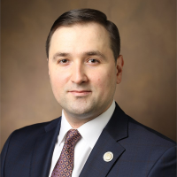 Muhamed Baljevic