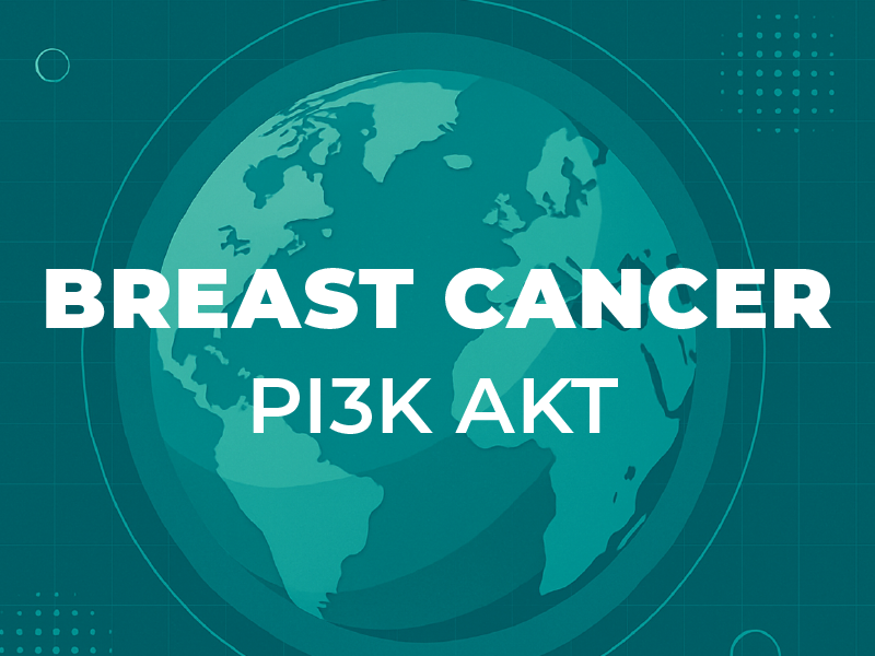 PI3K/AKT Inhibitors in mBC