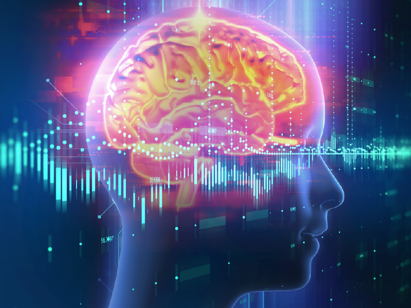 ProCE Banner Activity