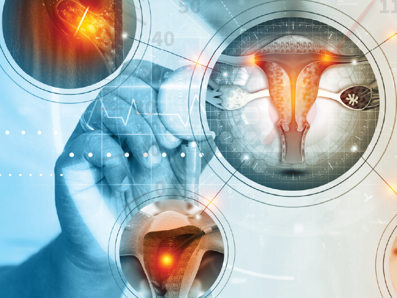 Emerging Strategies for EC