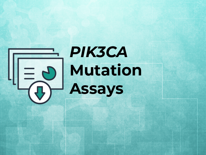 ProCE Banner Activity