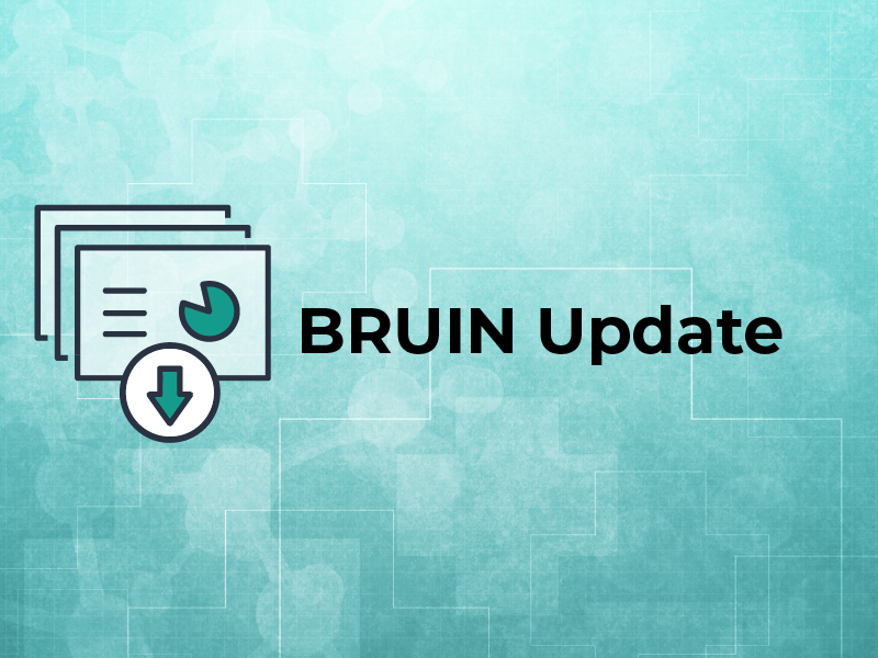 BRUIN Update