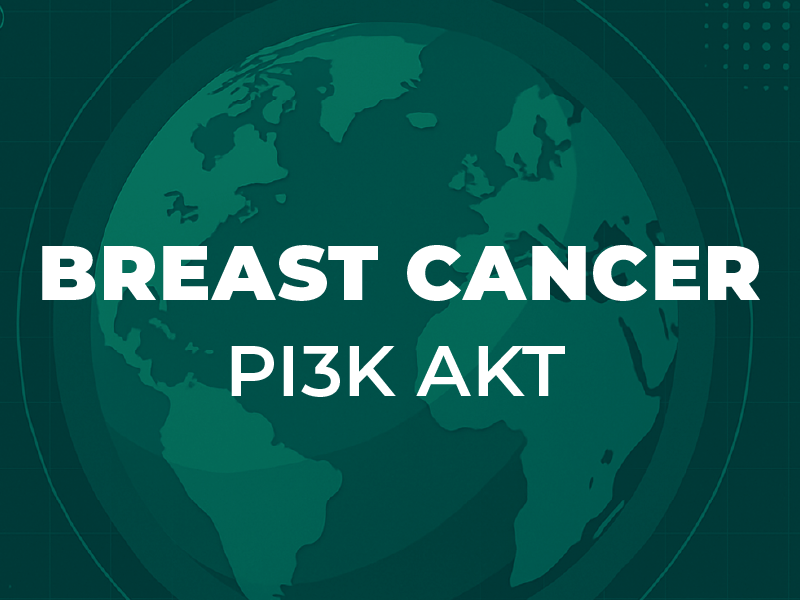 ProCE Banner Activity