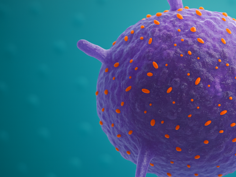 ProCE Banner Activity