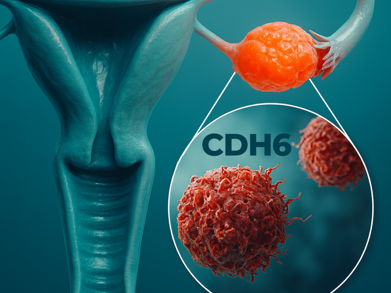 ProCE Banner Activity