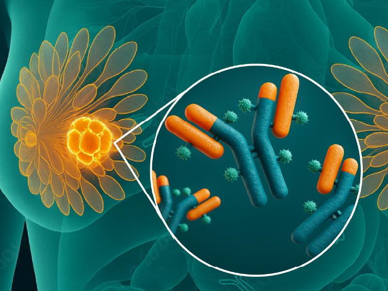 ProCE Banner Activity