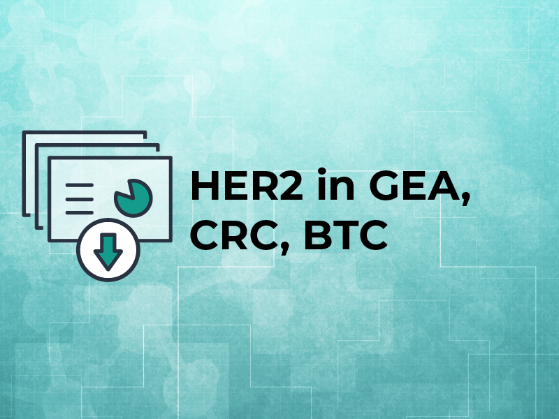 ProCE Banner Activity