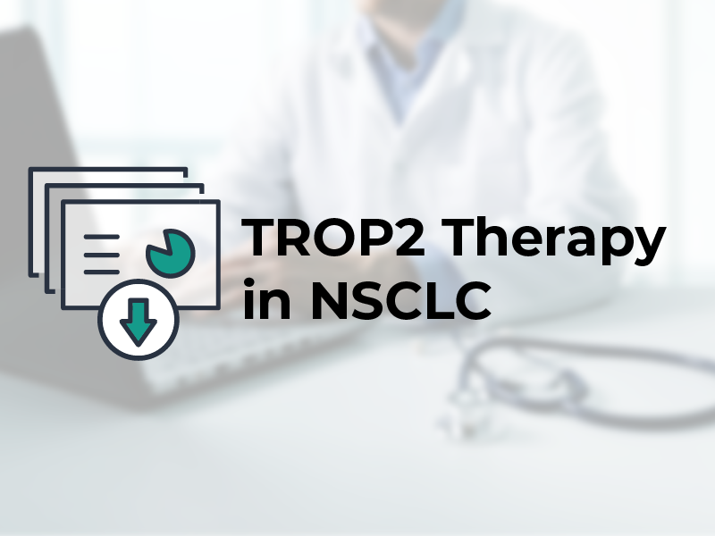 ProCE Banner Activity