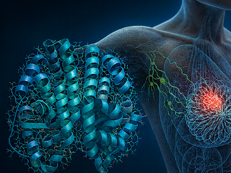 ProCE Banner Activity