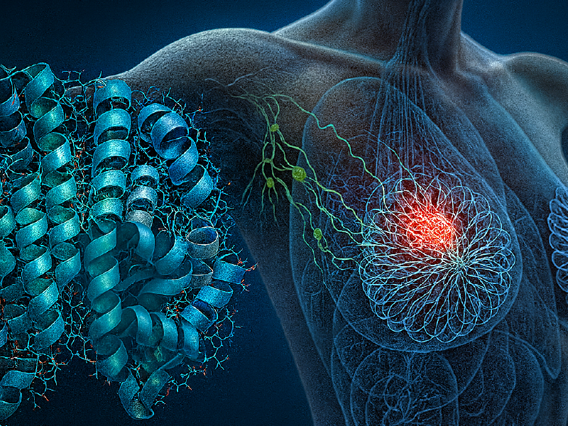 ProCE Banner Activity