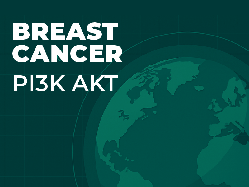 PI3K and AKT Inhibitors for Advanced HR Pos BC