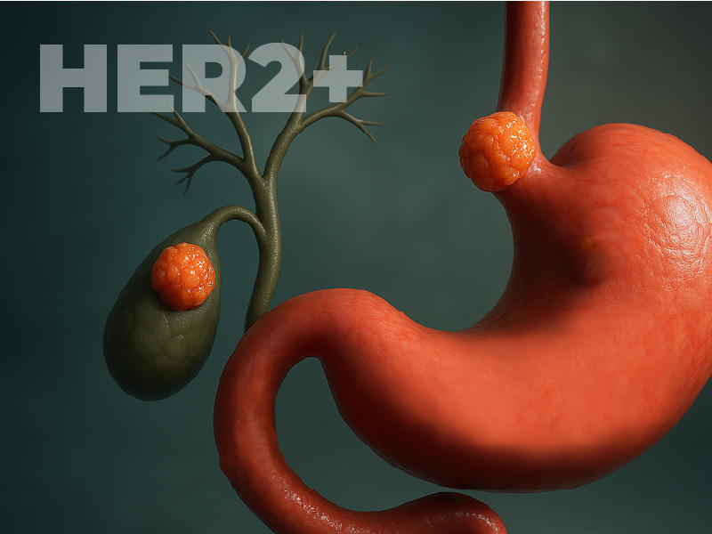 ProCE Banner Activity