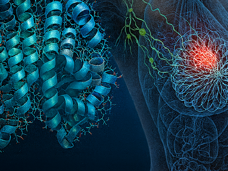 ProCE Banner Activity