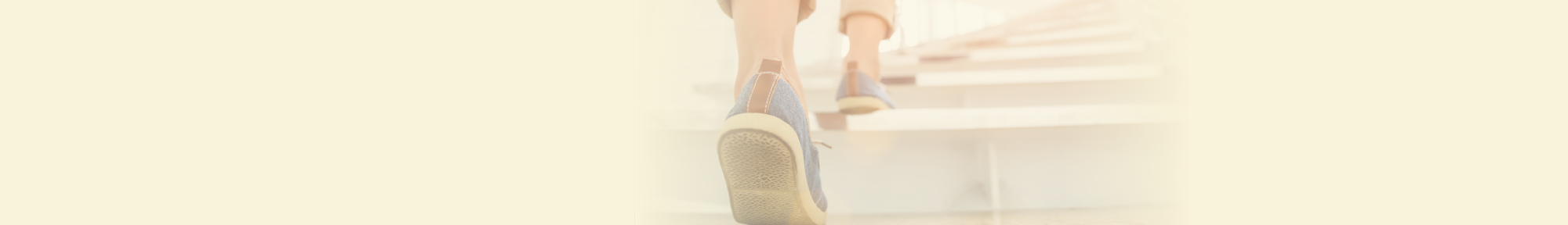 ProCE Banner