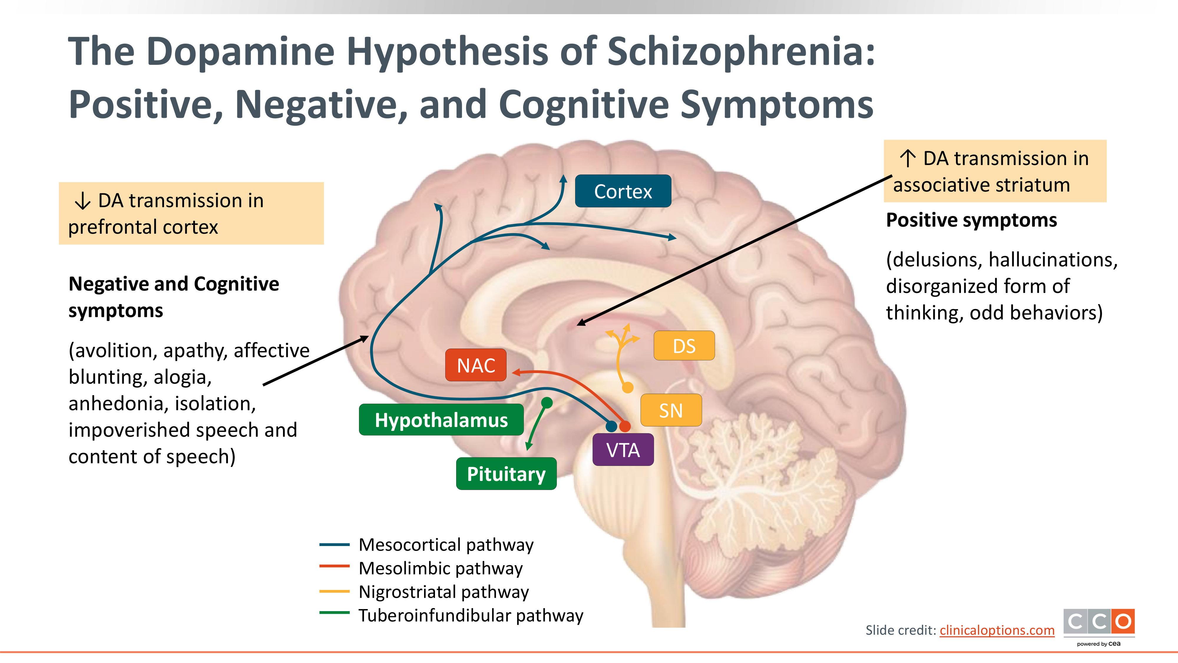 健康・医学 Comprehensive Treatmentof Schizophrenia8 Comprehensive Treatment of Schizophrenia: Linking