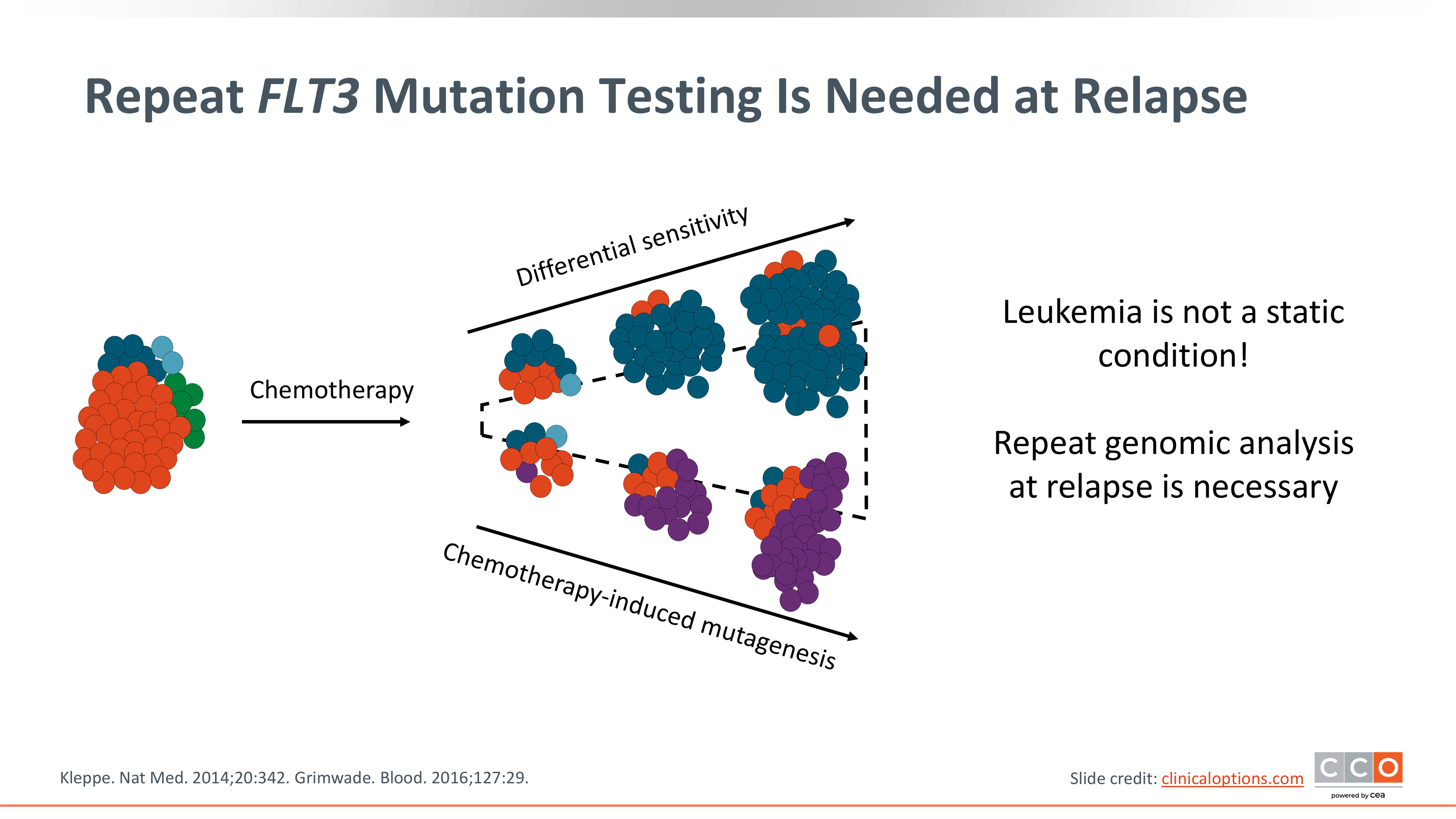 AMLS 日本語版 へるす出版 AMLS日本語版